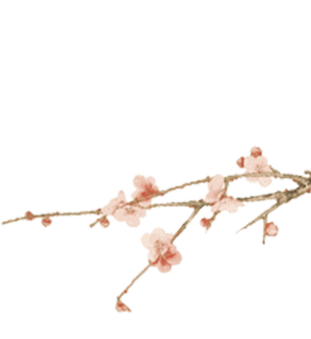 右上角梅花